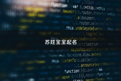 苏姓宝宝起名 - 苏姓宝宝2021年如何起名