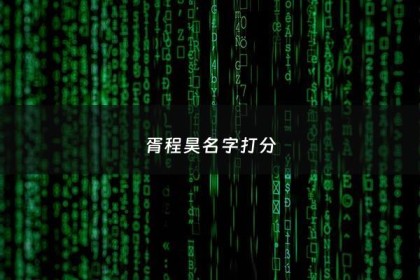 胥程昊名字打分 - 昊程名字的含义