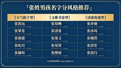 张姓宝宝取名字大全｜2026马年男孩女孩100个高分好名+张姓取名技巧与避坑