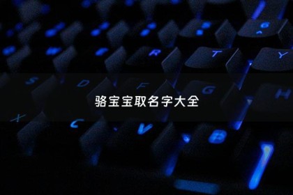 骆宝宝取名字大全 - 骆字取名男孩有寓意吗