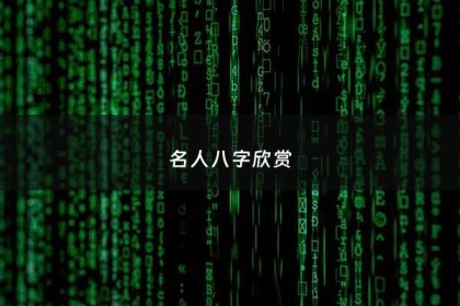 名人八字欣赏 - 历代名人八字赏析