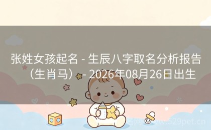 张姓女孩起名 - 生辰八字取名分析报告（生肖马） - 2026年08月26日出生