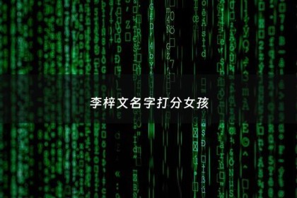 李梓文名字打分女孩 - 李梓的名字