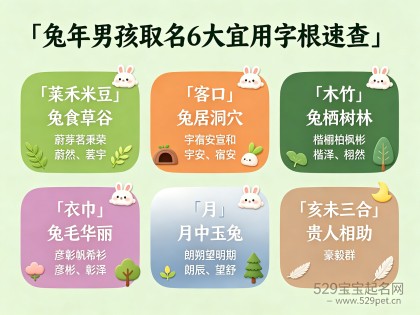 兔宝宝取名字大全男孩：6大宜用字根 + 80个阳刚好名（宸字能用吗）