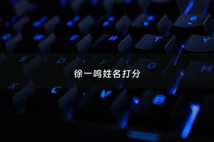 徐一鸣姓名打分 - 徐一名字的含义是什么