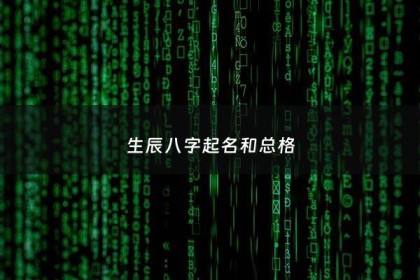 生辰八字起名和总格 - 生辰八字和命格