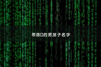 带陈璟的男孩子名字 - 陈璟这个名字怎么样