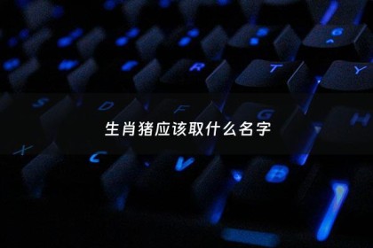 生肖猪应该取什么名字 - 属猪的起名字