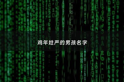 鸡年姓严的男孩名字 - 姓严的男孩取什么名字好听