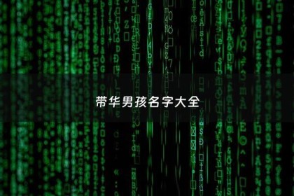 带华男孩名字大全 - 华字男孩稀少大气名字