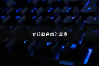女孩取名婧的寓意 - 女孩取名婧的寓意及含义