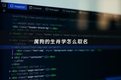 属狗的生肖学怎么取名 - 属狗的人起什么名字好