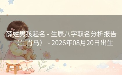 薛姓男孩起名 - 生辰八字取名分析报告（生肖马） - 2026年08月20日出生