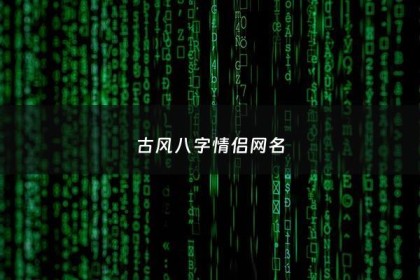 古风八字情侣网名 - 八个字古风韵味的情侣网名