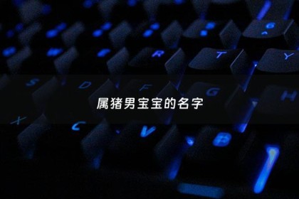 属猪男宝宝的名字 - 属猪男宝宝名字寓意好