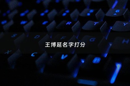 王博延名字打分 - 王博这个名字的含义