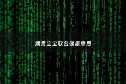 猴男宝宝取名健康意思 - 属猴男宝宝取名字大全