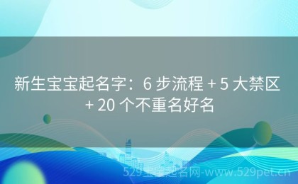 新生宝宝起名字：6 步流程 + 5 大禁区 + 20 个不重名好名
