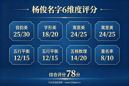 男孩取名杨俊可以吗？6维度评分+五格详解+重名率与替代名字