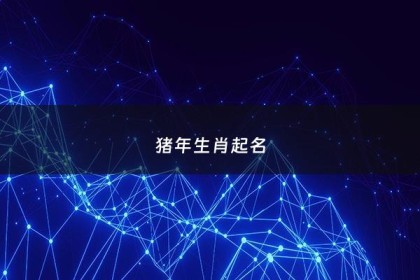 猪年生肖起名 - 生肖猪取名