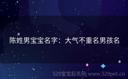 陈姓男宝宝名字：大气不重名男孩名