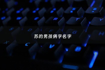 苏的男孩俩字名字 - 姓苏的男孩名字超好听二个字