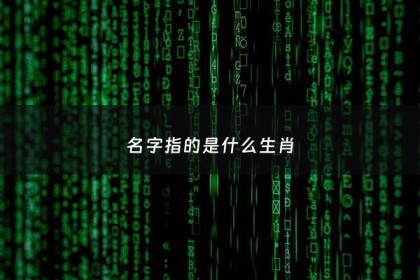 名字指的是什么生肖 - 名字打一生肖是什么动物
