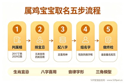 属鸡宝宝取名 - 辰字骏字能用吗？67个好名宜忌字根五步流程