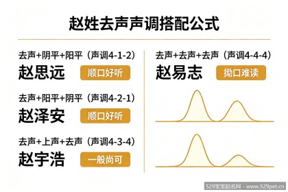 赵姓宝宝取名大全 - 去声姓氏怎么配字才顺口好听？（72名）