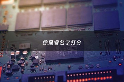 徐晟睿名字打分 - 徐晟睿怎么读