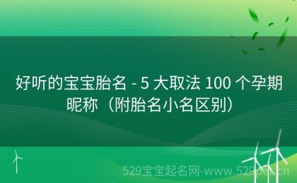 好听的宝宝胎名 - 5 大取法 100 个孕期昵称（附胎名小名区别）
