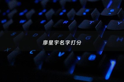廖星宇名字打分 - 廖星宇名字的含义