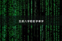 生辰八字取名字单字 - 生辰八字取名字单字大全