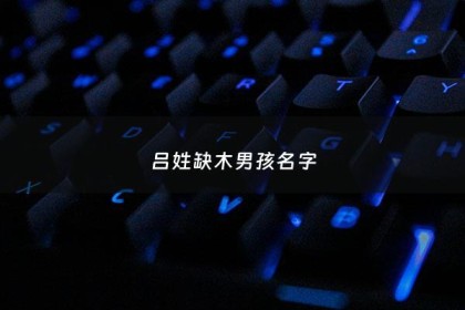 吕姓缺木男孩名字 - 姓吕缺木女孩名字