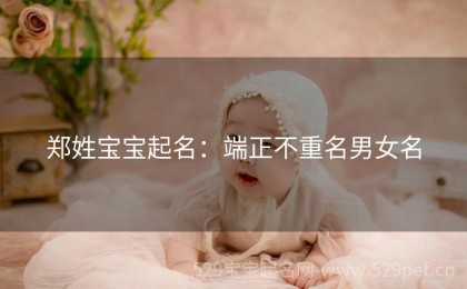 郑姓宝宝起名：端正不重名男女名