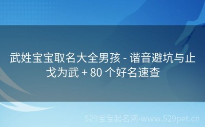 武姓宝宝取名大全男孩 - 谐音避坑与止戈为武 + 80 个好名速查