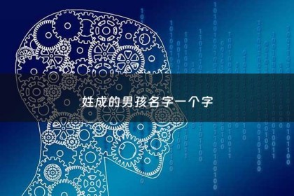 姓成的男孩名字一个字 - 姓成的男孩名字一个字有哪些