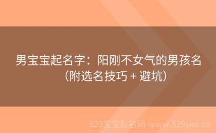 男宝宝起名字：阳刚不女气的男孩名（附选名技巧 + 避坑）