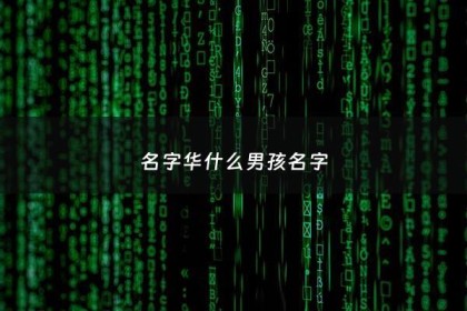 名字华什么男孩名字 - 华字起名字男孩名字