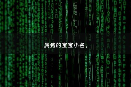 属狗的宝宝小名、 - 属狗的小名叫什么好男孩