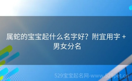 属蛇的宝宝起什么名字好？附宜用字 + 男女分名
