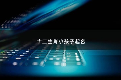 十二生肖小孩子起名 - 十二生肖宝宝取名字