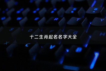 十二生肖起名名字大全 - 十二生肖取一个好听的名字
