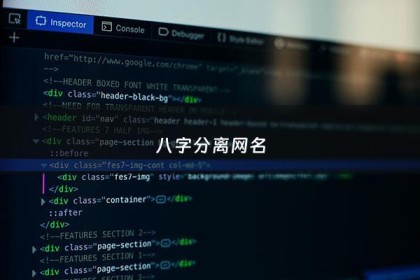 八字分离网名 - 八字ID