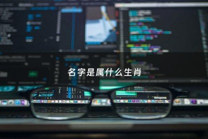 名字是属什么生肖 - 名字暗示什么生肖