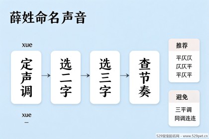 薛姓宝宝起名：双字名单字名怎么选？（68个高分名字+避坑指南）