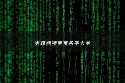 男孩熙猪宝宝名字大全 - 熙名字男孩名字大全