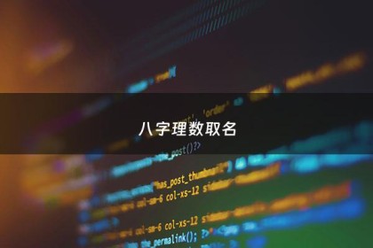 八字理数取名 - 数理起名好还是八字起名好