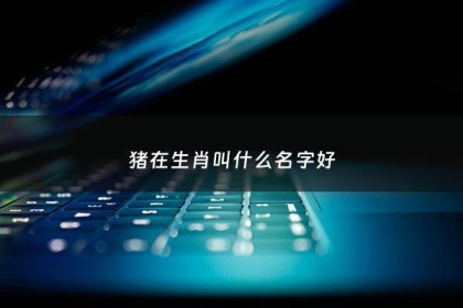 猪在生肖叫什么名字好 - 属猪的叫什么