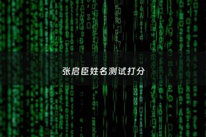 张启臣姓名测试打分 - 张启这个名字的含义